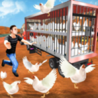 公鸡养殖场安卓免费版